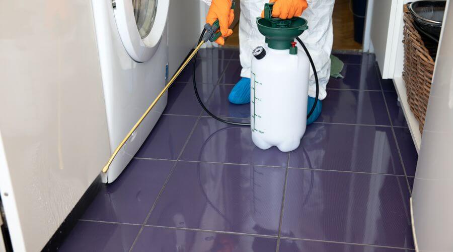 Why choose Termite Inspection Mitchell Park East for termite inspection in Mitchell Park East